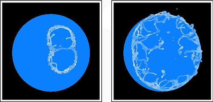 RealFlow 翻譯教程之——破裂的肥皂泡(-) - 豆芽兵 - 豆芽兵的天地