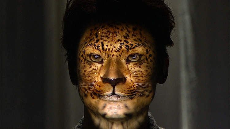 ձſ3DͶӰģ؊yݿƻ׃չʾ{my:seotitle}