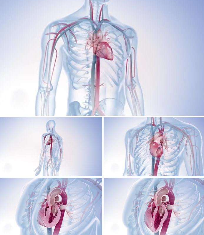 SӮҕlttWИIđ÷Щ{my:seotitle}