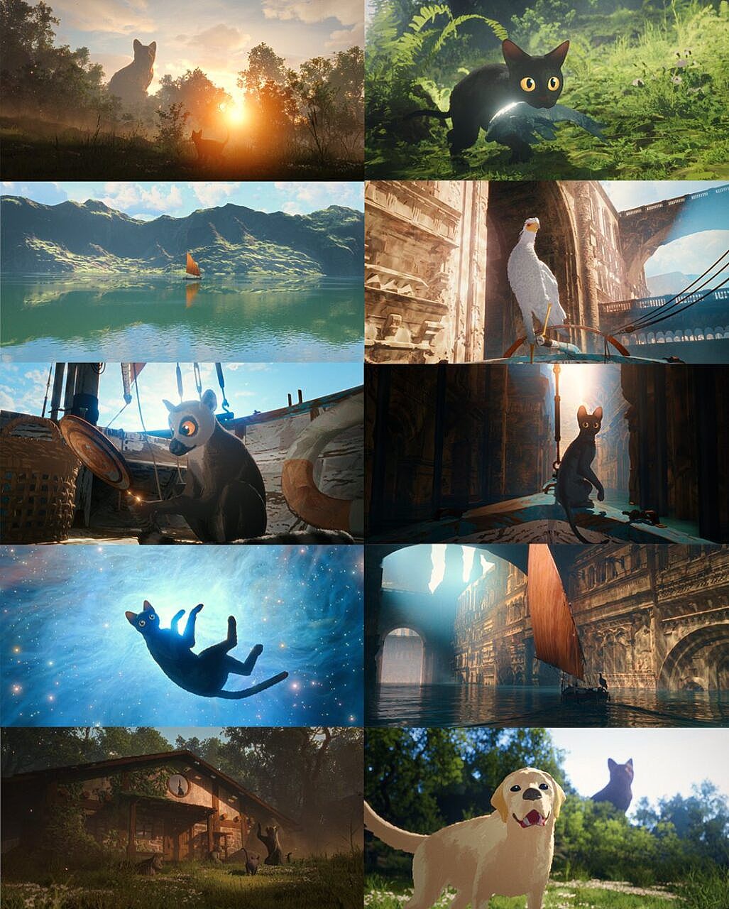 三維動(dòng)畫長片《Flow》導(dǎo)演金斯・齊爾巴洛季斯(Gints Zilbalodis)專訪{my:seotitle}